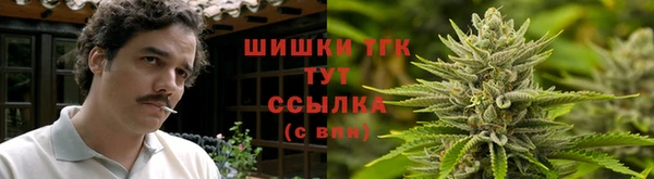 гашиш Магас